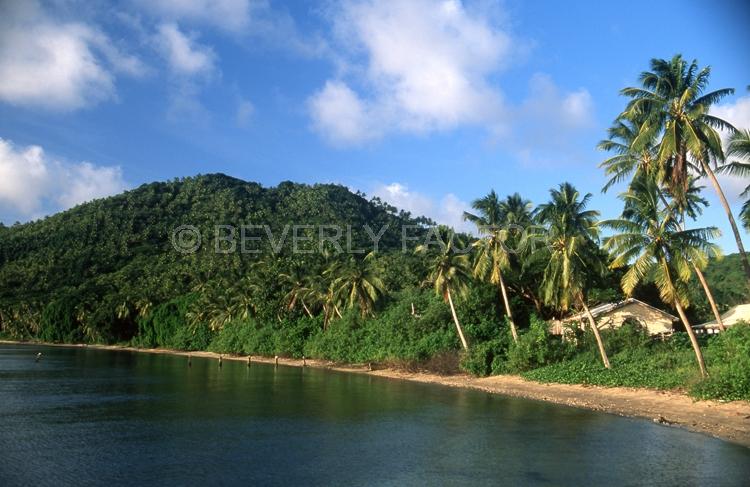 Islands;Fiji;shore line;reesl palm trees;blue waer